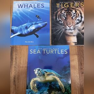 3 Our Amazing World Books